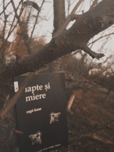 23163672_1159521547512538_462140339_n